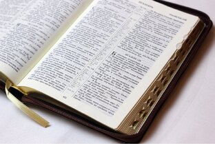 Слово на каждый день на сайте www.cityeden.info