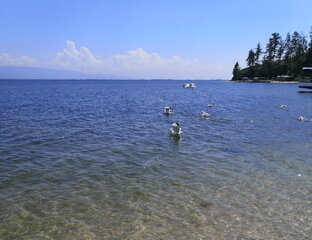 Вокруг Байкала