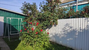 Эстетика лета 