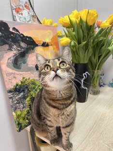 Завтраки ☀️