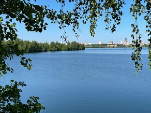 Фото природы