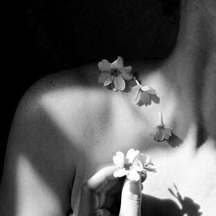 Программы в матрице судьбы 