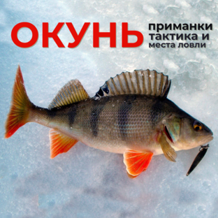 Зимний ОКУНЬ!