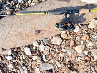 открытие сезона 2023 года