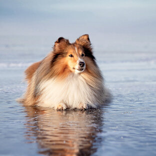 Забавные истории