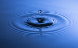 Дар сегодняшнего дня