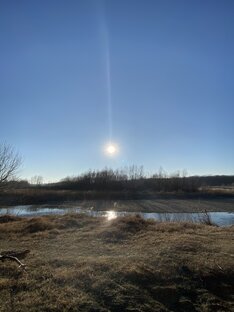 Поэзия:Позитив 