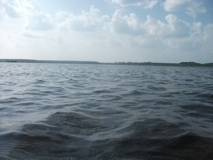 Стихи других авторов