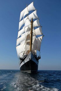 Проверьте свои знания обо всём