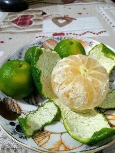 Сорта цитрусовых для комнатного выращивания.