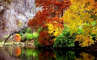 Очей очарованье - ОСЕНЬ