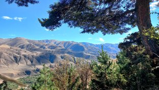 Стихотворения из нашей книги "1111".