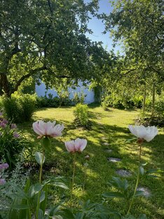 Тенистый сад 