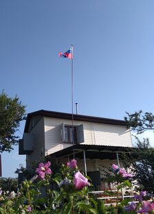 Гражданская позиция: есть