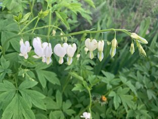 Невероятный месяц май 😍