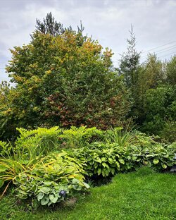 Японский садик