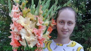 Гладиолусы