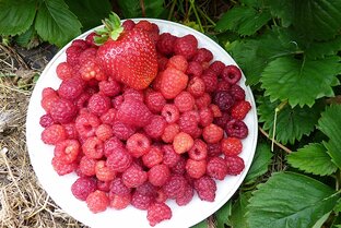 Сельские уроки