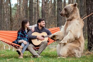 Встречи с животными