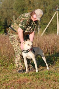 О нашем центре