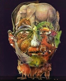 Тесты на внимательность