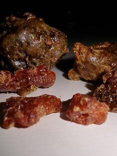 ПРОПОЛИС⚕️