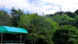 Вокруг Ставрополя