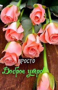 Праздники 