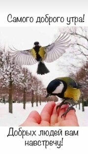 Все новости 