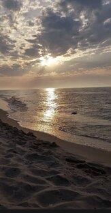 О том , о сём!