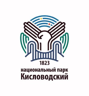Парк в кадре