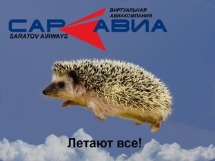 Ёж: электронное правосудие