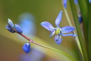 Где-то в Подмосковье 