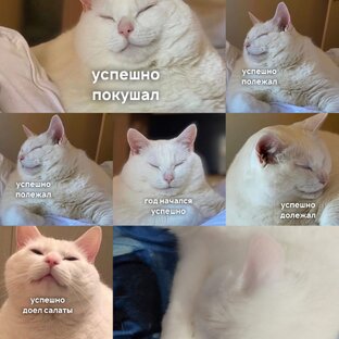 Новогодние праздники