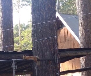 Путешествуем по Сибири