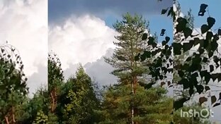 Читаю стихи