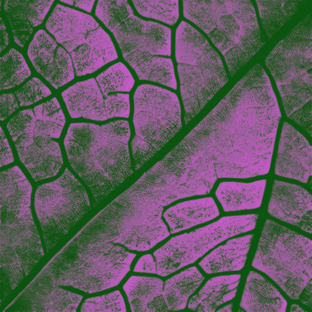 Новогодние поделки