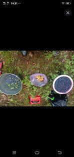 Интересно почитать