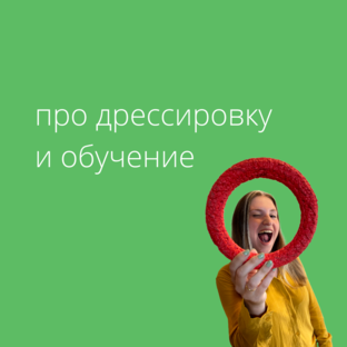 про дрессировку и обучение