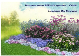 Новинки и распродажи в сетевых магазинах Санкт-Петербурга!