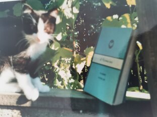 Библиотерапевтическое чтение