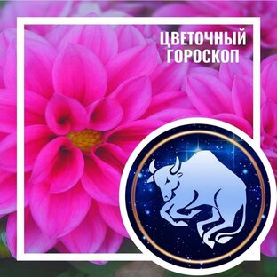 Цветочный гороскоп