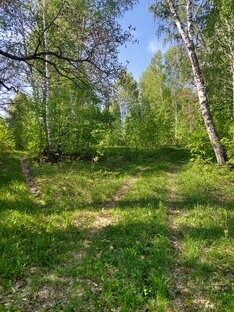 Стихотворения