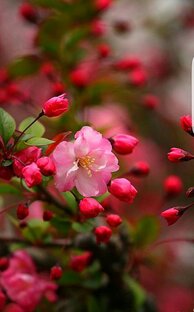 Истории двойников