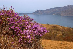 Весна в Приморье