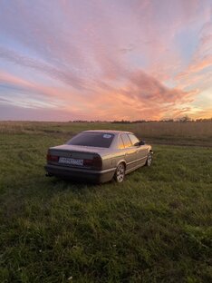 🌅🌅🌅