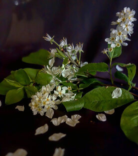 Поэтика, рассказы, думки. 