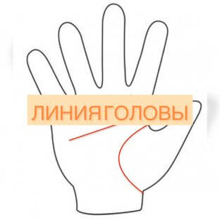 Линия головы