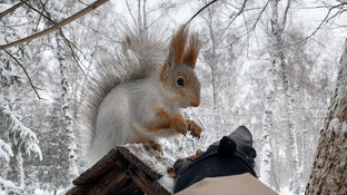 Февраль 2023-2024