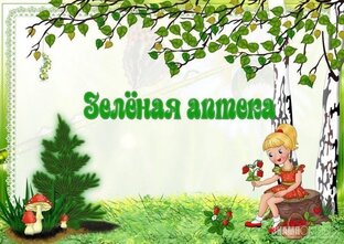 Аптечная грядка (или клумба)
